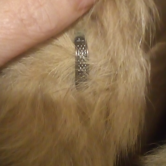 Beautiful Vintage Wilson Bleached Raccoon Fur Coat - Size Medium - Picture 6 of 14